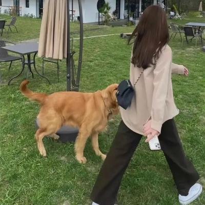 滚滚红尘